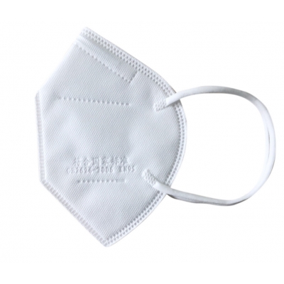 N95 Face Masks